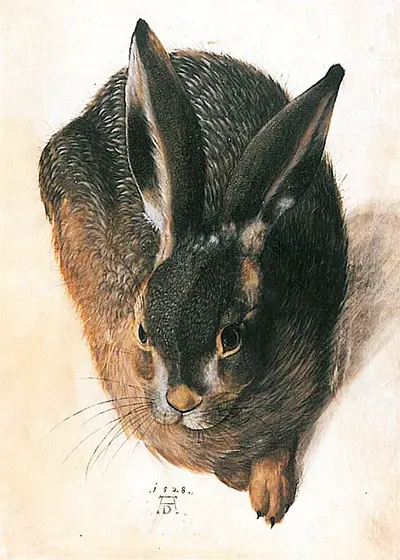Hare (1528) Albrecht Durer
